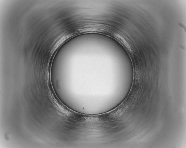 X0000098090890200804181233