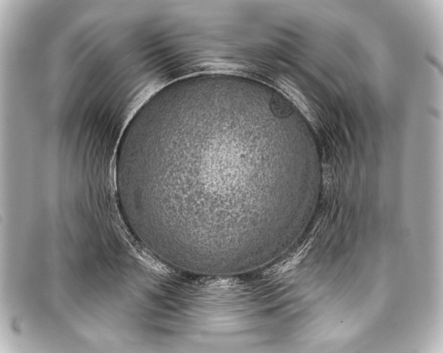X0000098090891200804181233