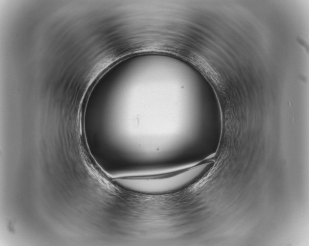 X0000098090892200804181233