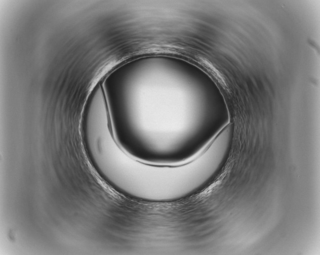 X0000098090893200804181233