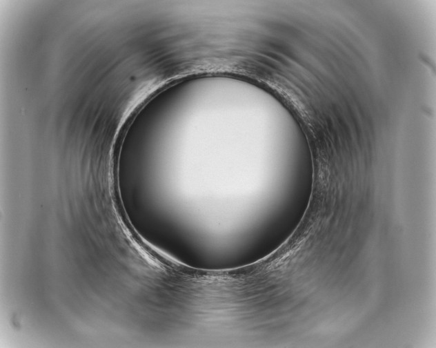 X0000098090894200804181233