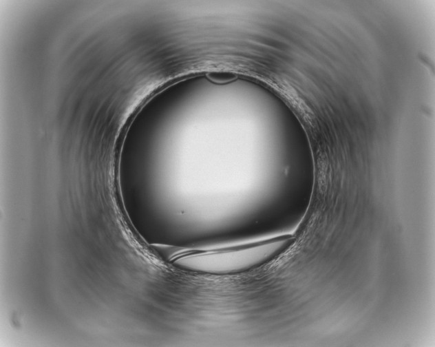 X0000098090896200804181233