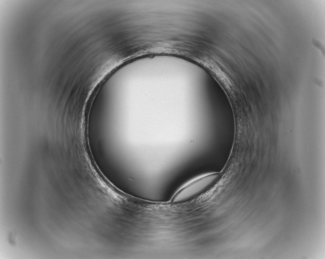 X0000098090902200804181233