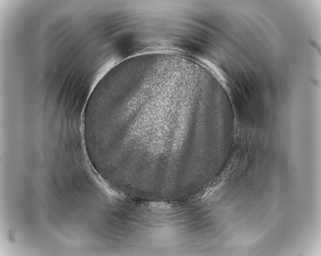 X0000098090907200804181232