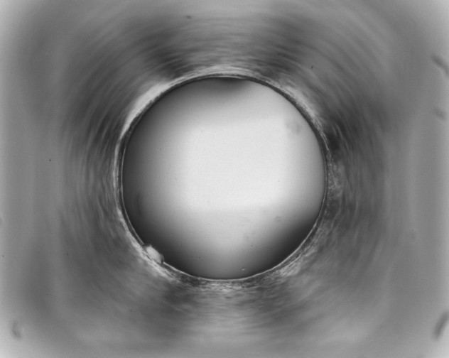 X0000098090910200804181232