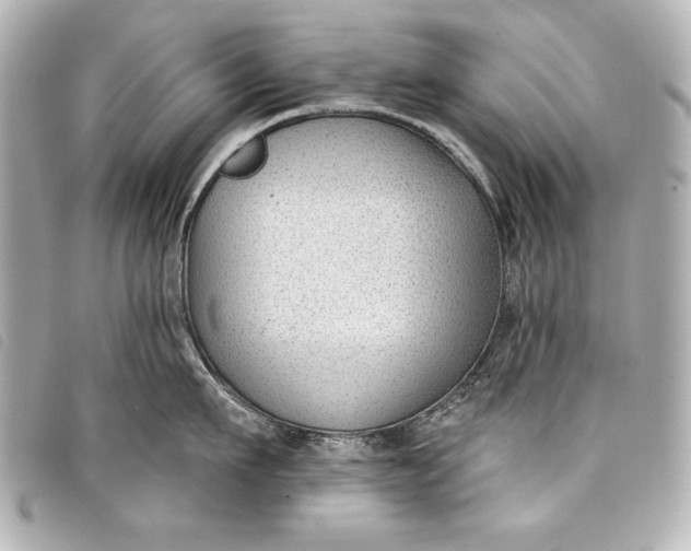 X0000098090911200804181232