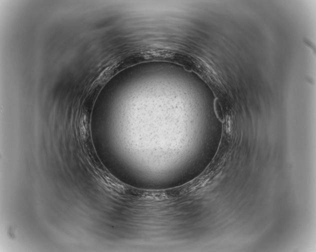 X0000098090915200804181232