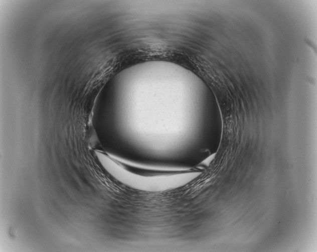 X0000098090916200804181232