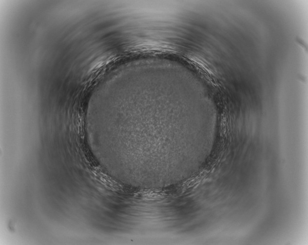 X0000098090917200804181232