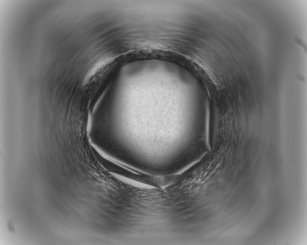 X0000098090919200804181232