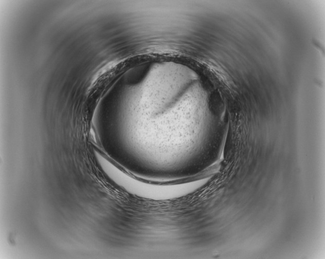 X0000098090920200804181232