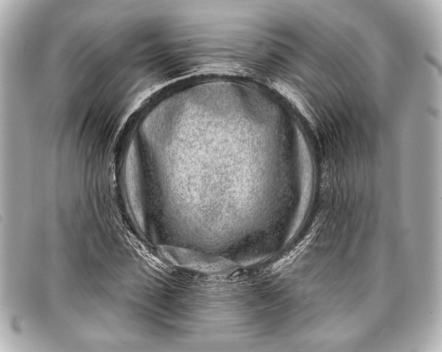 X0000098090923200804181232