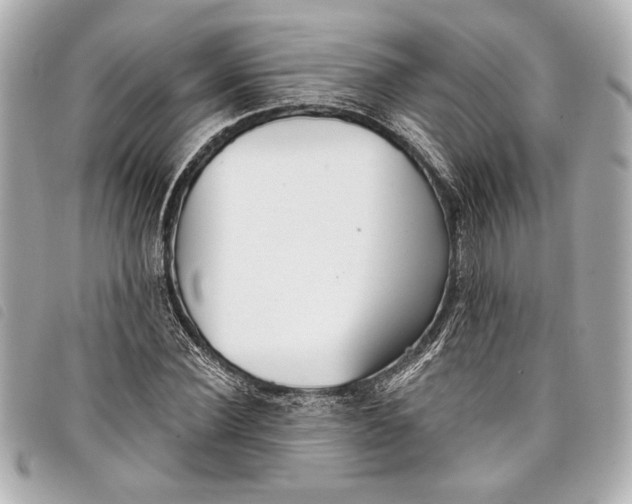 X0000098090924200804181232