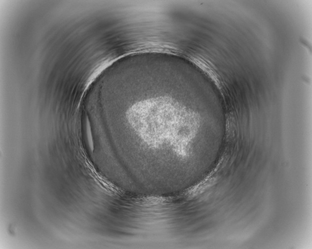 X0000098090925200804181232