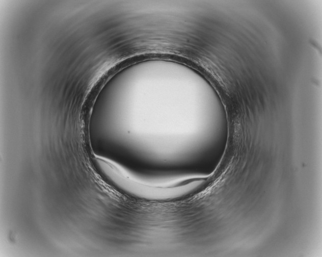 X0000098090926200804181232