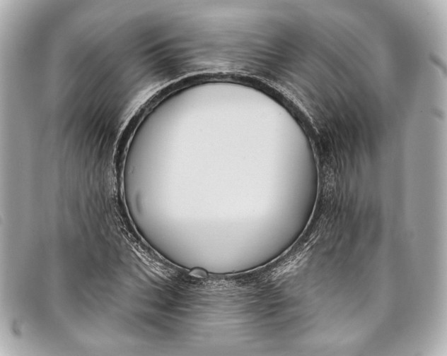 X0000098090927200804181232