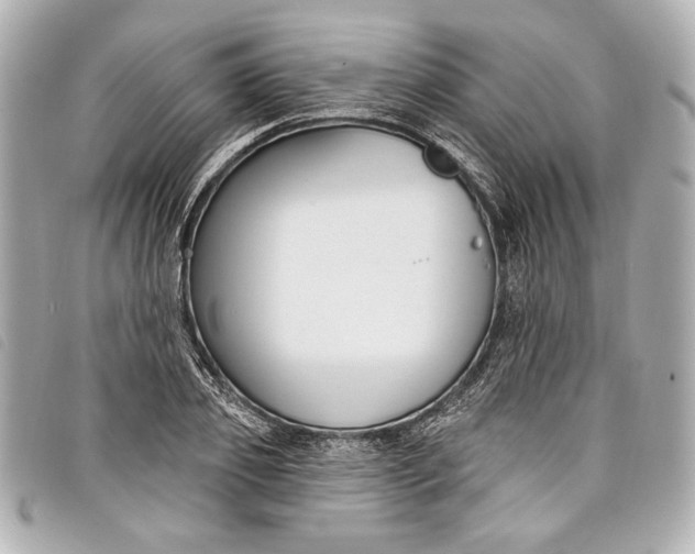 X0000098090933200804181232