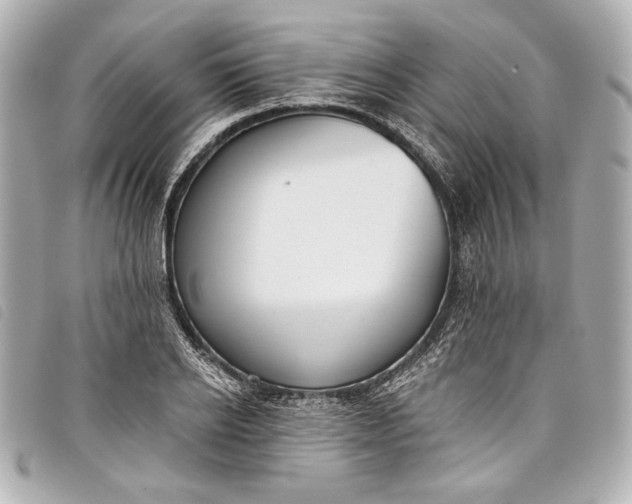 X0000098090934200804181232