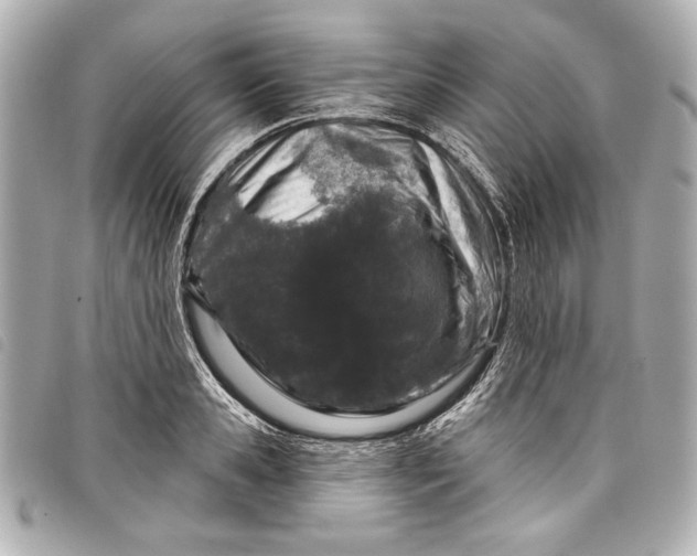 X0000098090941200804181232