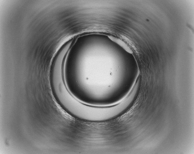 X0000098090942200804181232