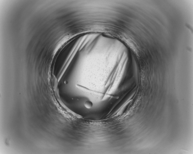 X0000098090944200804181232