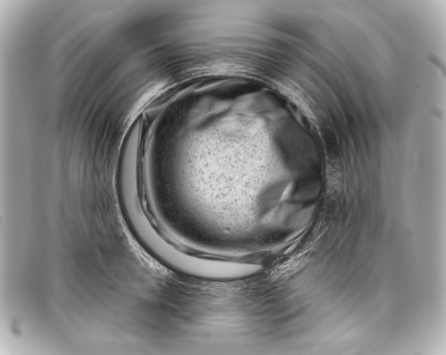 X0000098090946200804181232