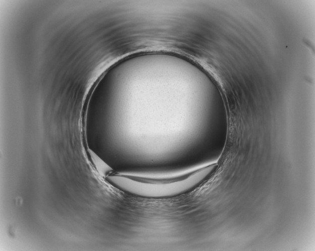 X0000098090951200804181232