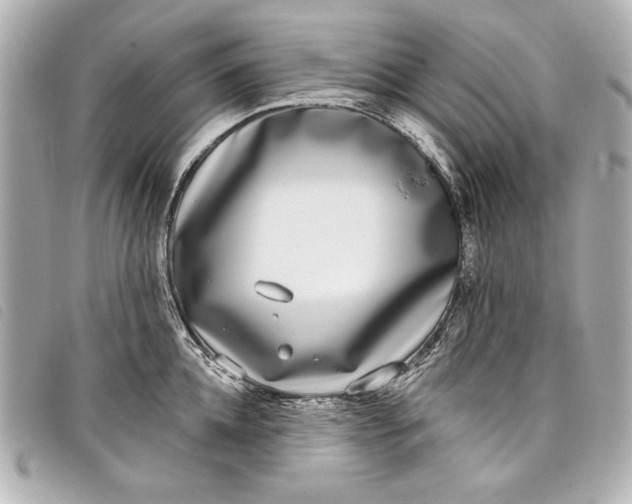 X0000098090952200804181232
