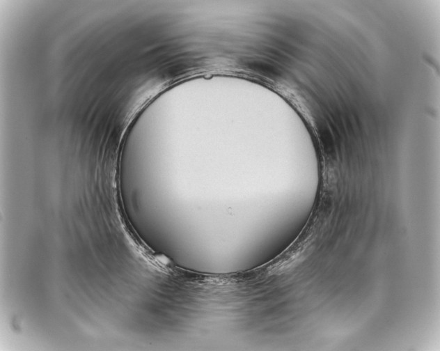 X0000098090954200804181232