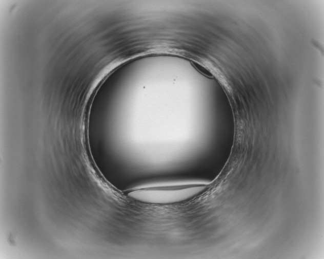 X0000098090955200804181232