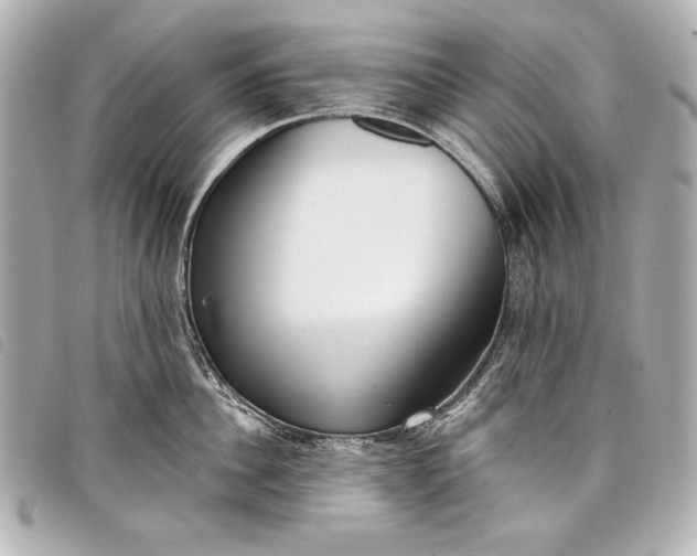 X0000098090956200804181232