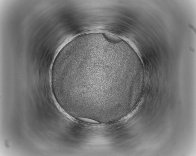 X0000098090957200804181232