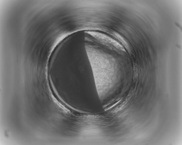 X0000098090958200804181232