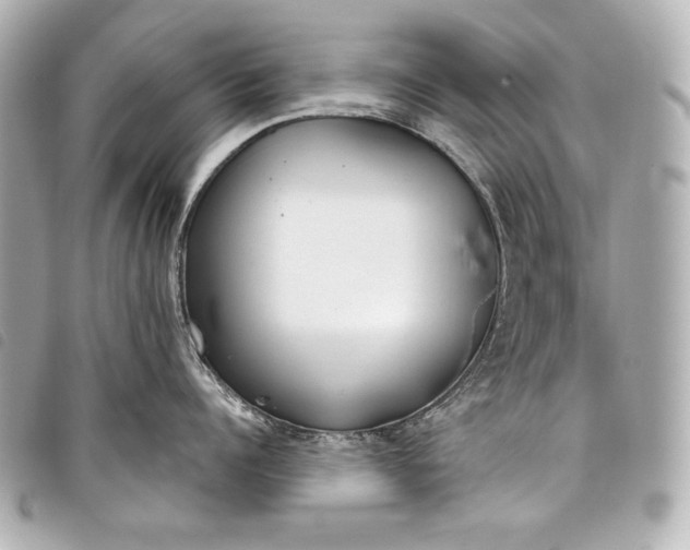 X0000098090960200804181232