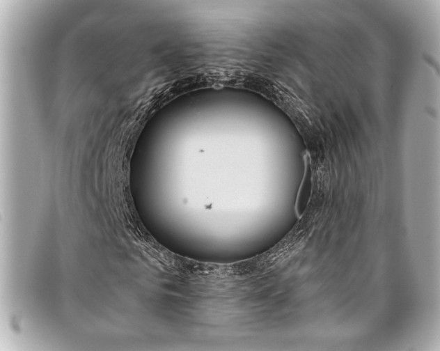 X0000098090961200804181232