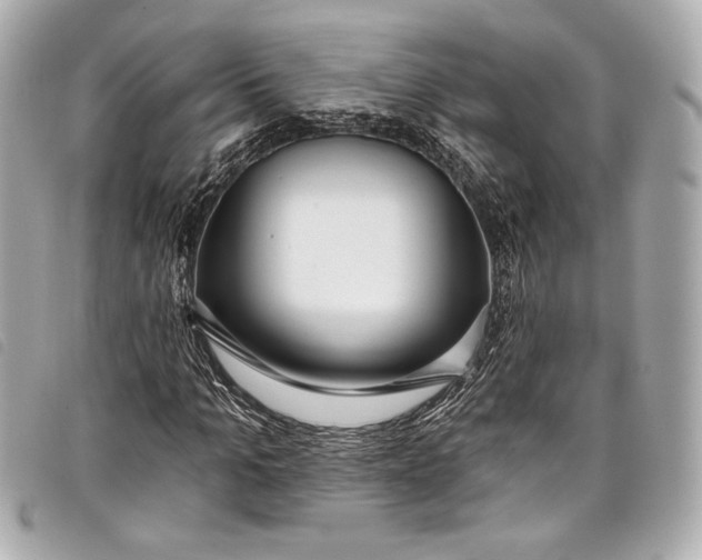 X0000098090965200804181231