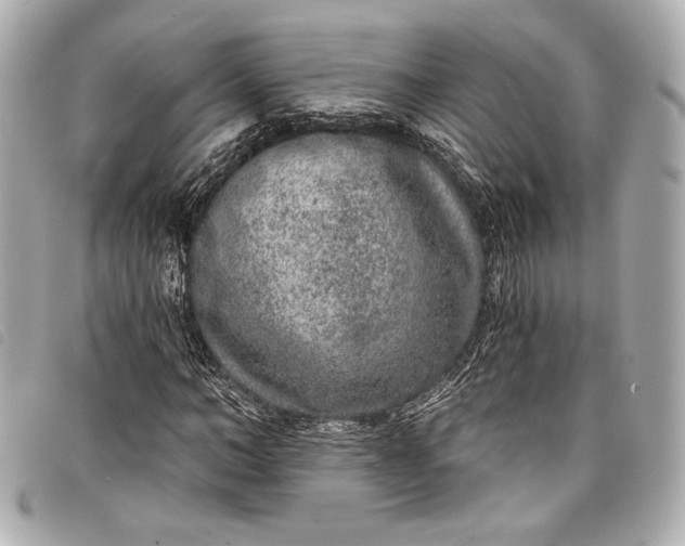X0000098090966200804181231