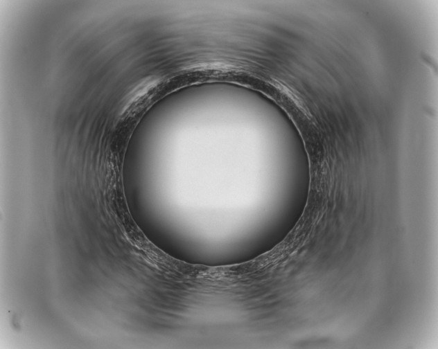 X0000098090967200804181231