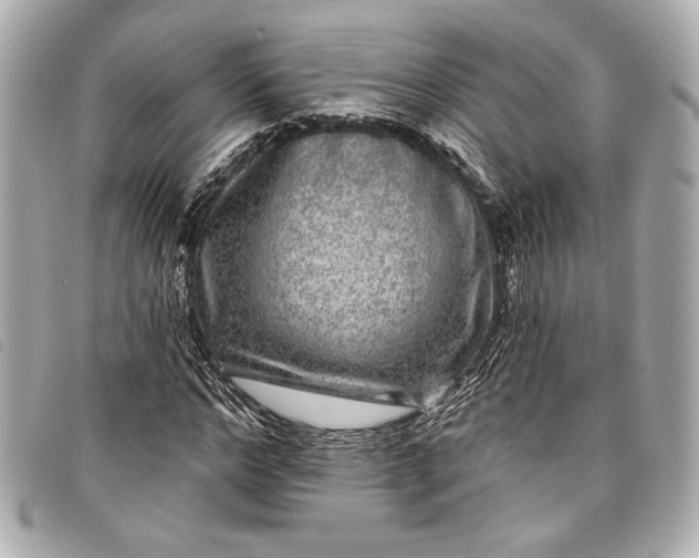 X0000098090968200804181231