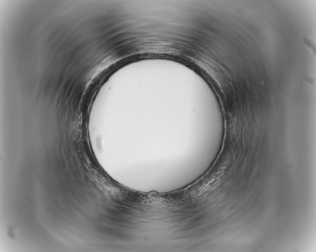 X0000098090971200804181231