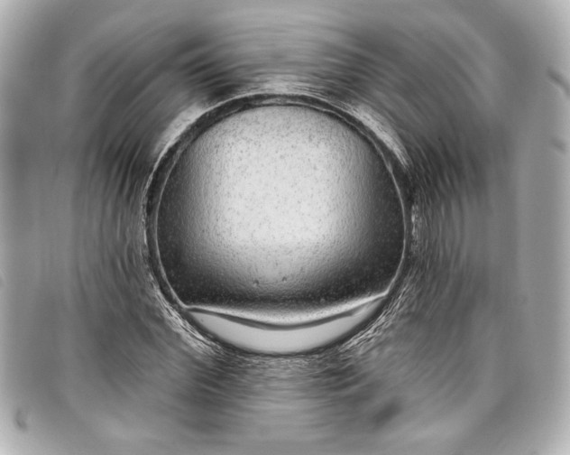 X0000098090972200804181231