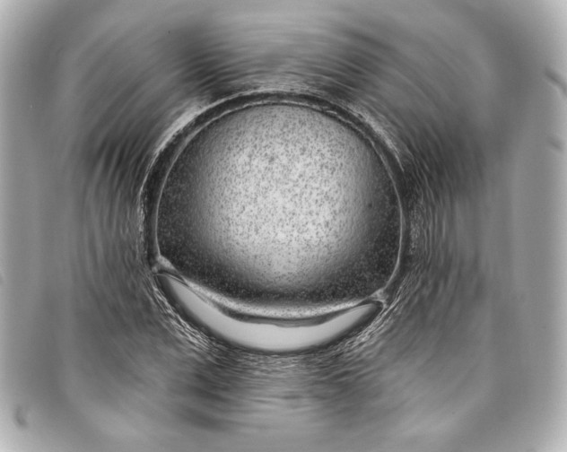 X0000098090975200804181231