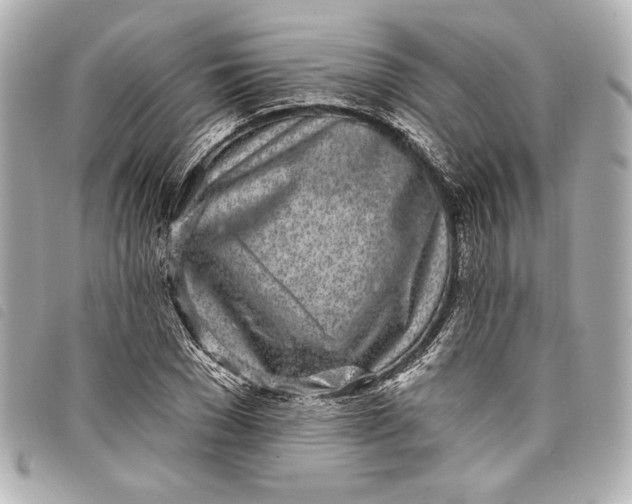 X0000098090977200804181231