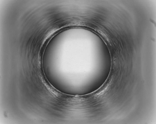 X0000098090981200804181231
