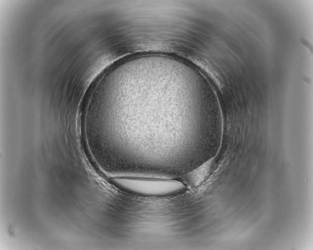 X0000098090983200804181231