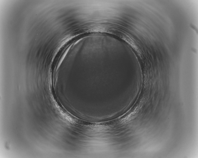 X0000098090984200804181231
