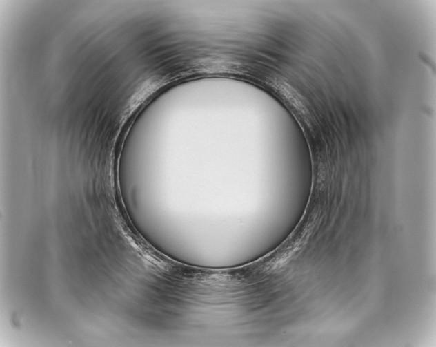 X0000098090986200804181231