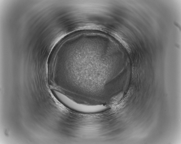 X0000098090988200804181231