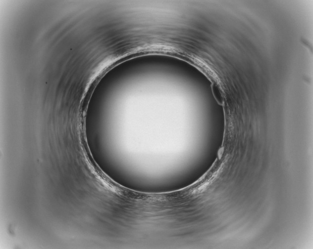 X0000098090989200804181231
