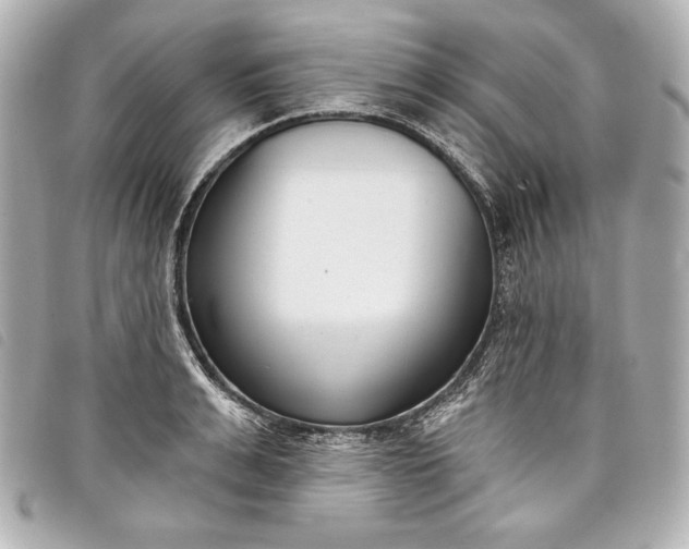 X0000098090991200804181231